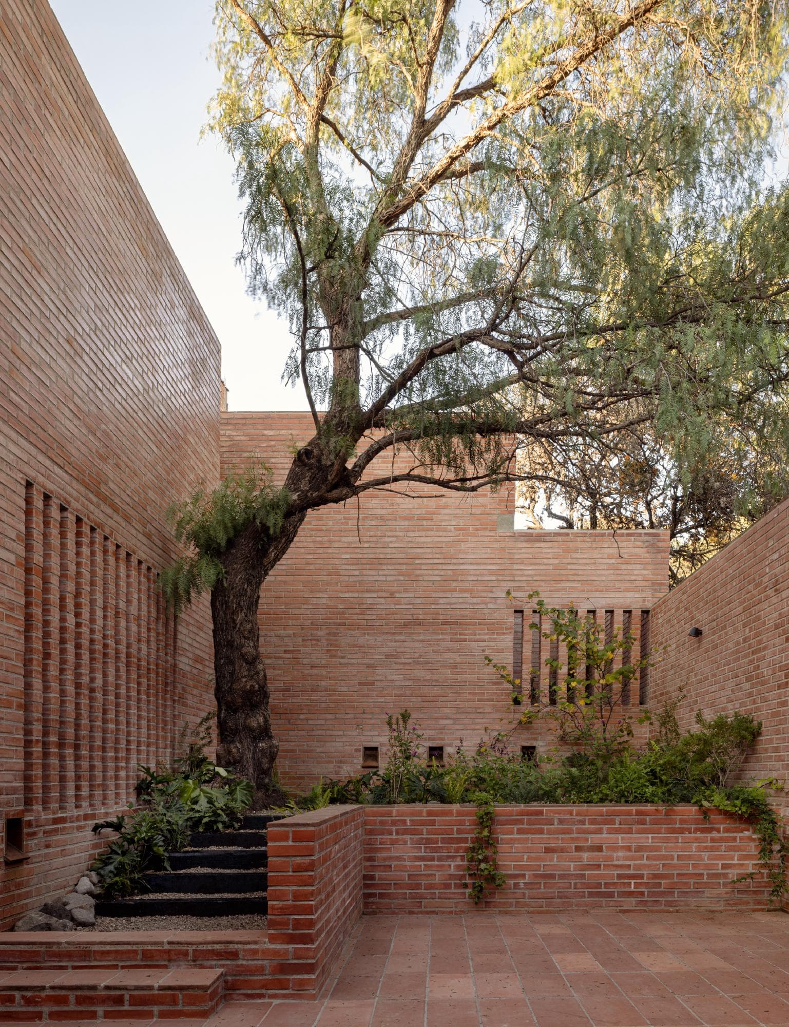 Cour intérieure · Arbre mature conservé